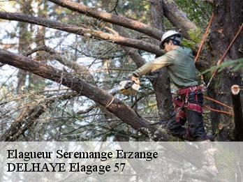 Elagueur 57290