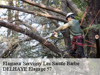 Elagueur 57640