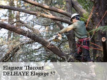 Elagueur 57380
